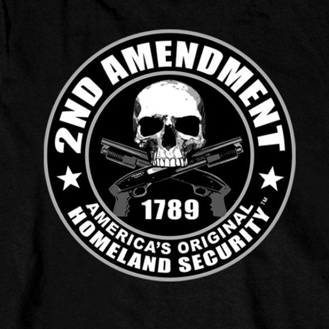 2nd Amendment America's Original Homeland Security vinyl sticker - Vinyl  Mayhem